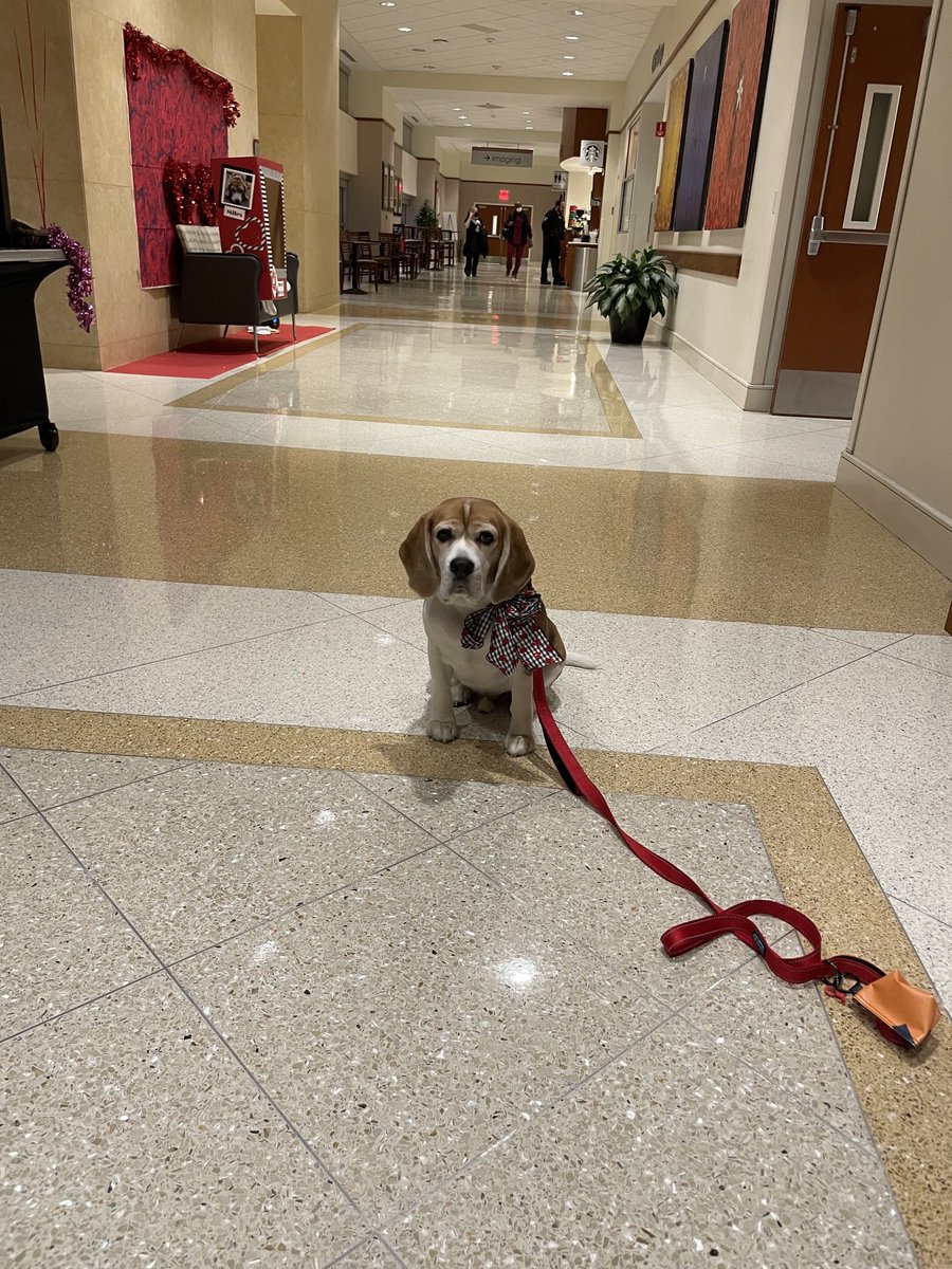 john f. marcucci, md tweet media