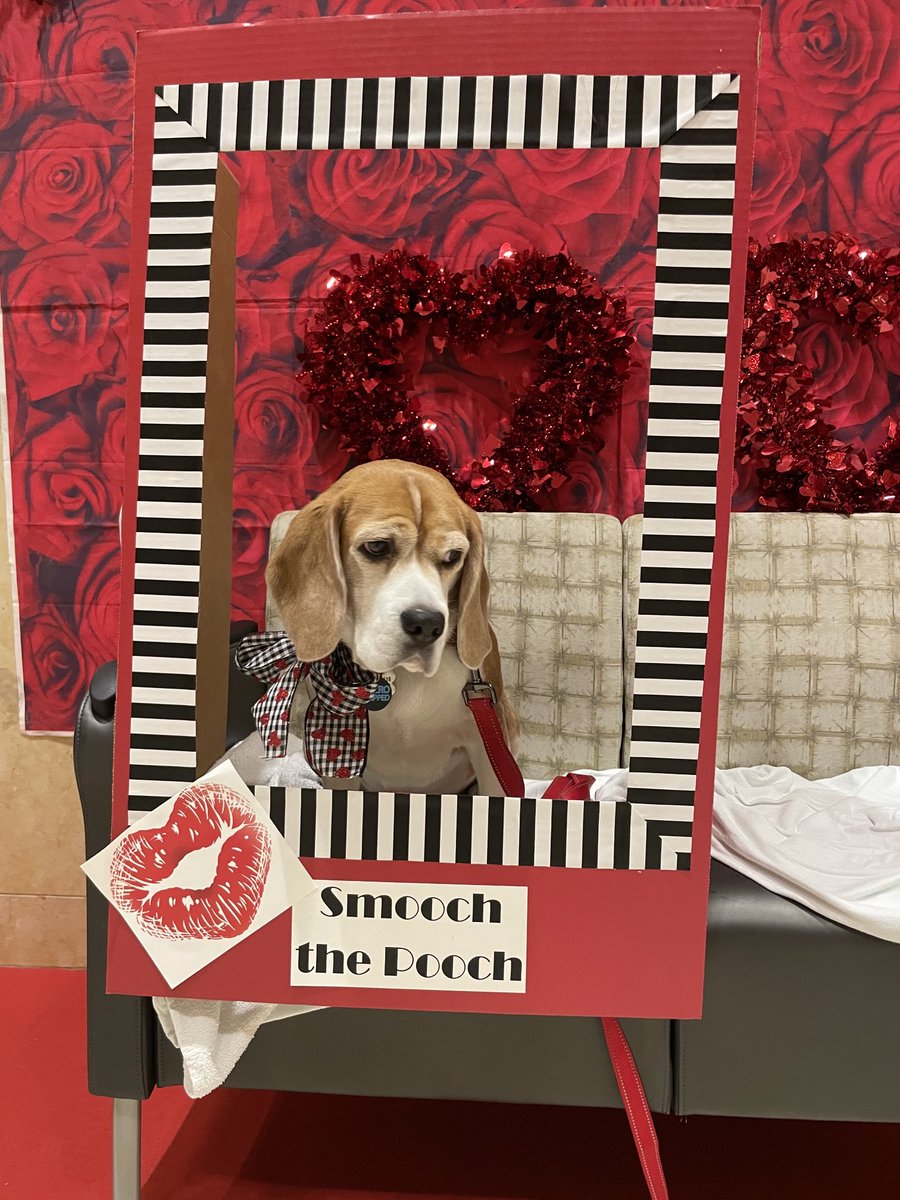 john f. marcucci, md tweet media