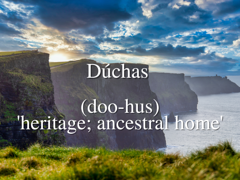 AmericanIrishSL's tweet photo. As many use this month to celebrate their Irish heritage our #WednesdayIrishWordoftheWeek is 'dúchas' which roughly translates to 'heritage; ancestral estate or native place or country' https://t.co/P9wxYXSfUd