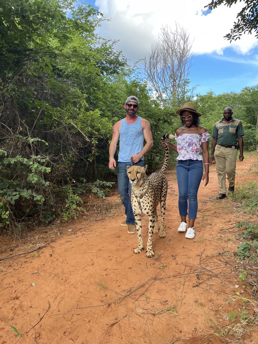 McPriscillar's tweet photo. You have taught me that love is patient and kind! Valentine’s Day doesn’t not make any sense because my everyday feels like it!#MandelaFellows #ValentinesDay #14february #Yalilovestory https://t.co/6F0oEgCn9w
