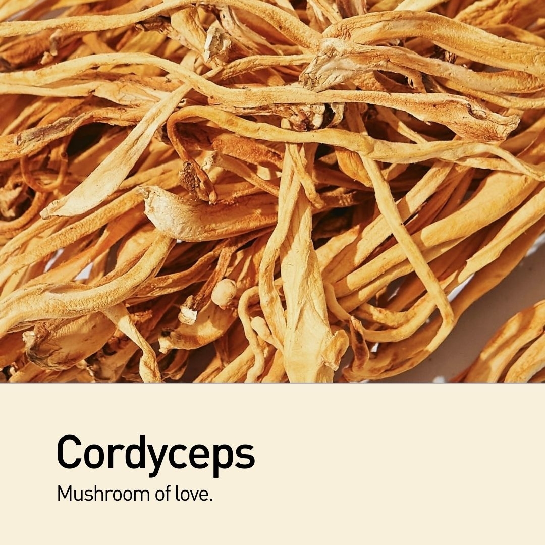 💕 Today's feature is a mushroom of love - Cordyceps!

These caterpillar-like mushrooms are known to naturally enhance and increase sexual desire in both men and women. 💕 In addition, they slow the ageing process, improve heart health⁠ and help fight inflammation⁠.