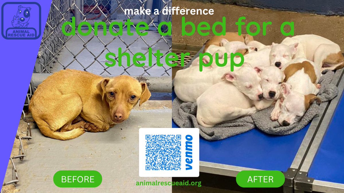 AnimalRescueAid's tweet photo. Every pup deserves a bed up off the cold concrete shelter floor.  https://t.co/dmkK06CEDa  #RT #AdoptDontShop https://t.co/1mdNFx2MA0
