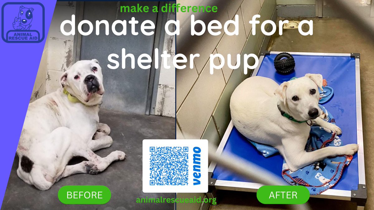 AnimalRescueAid's tweet photo. Every pup deserves a bed up off the cold concrete shelter floor.  https://t.co/dmkK06CEDa  #RT #AdoptDontShop https://t.co/rho09bKoXG