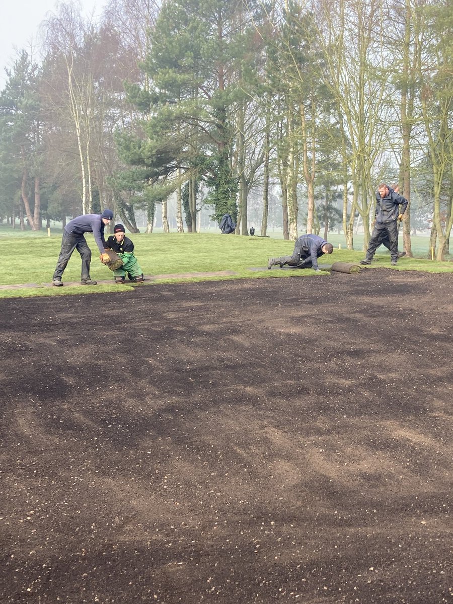 Stephen Curtis tweet media