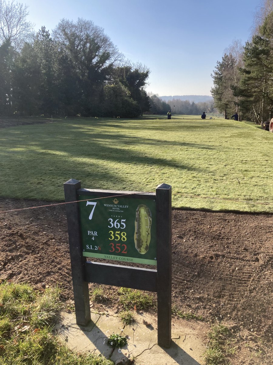 Stephen Curtis tweet media