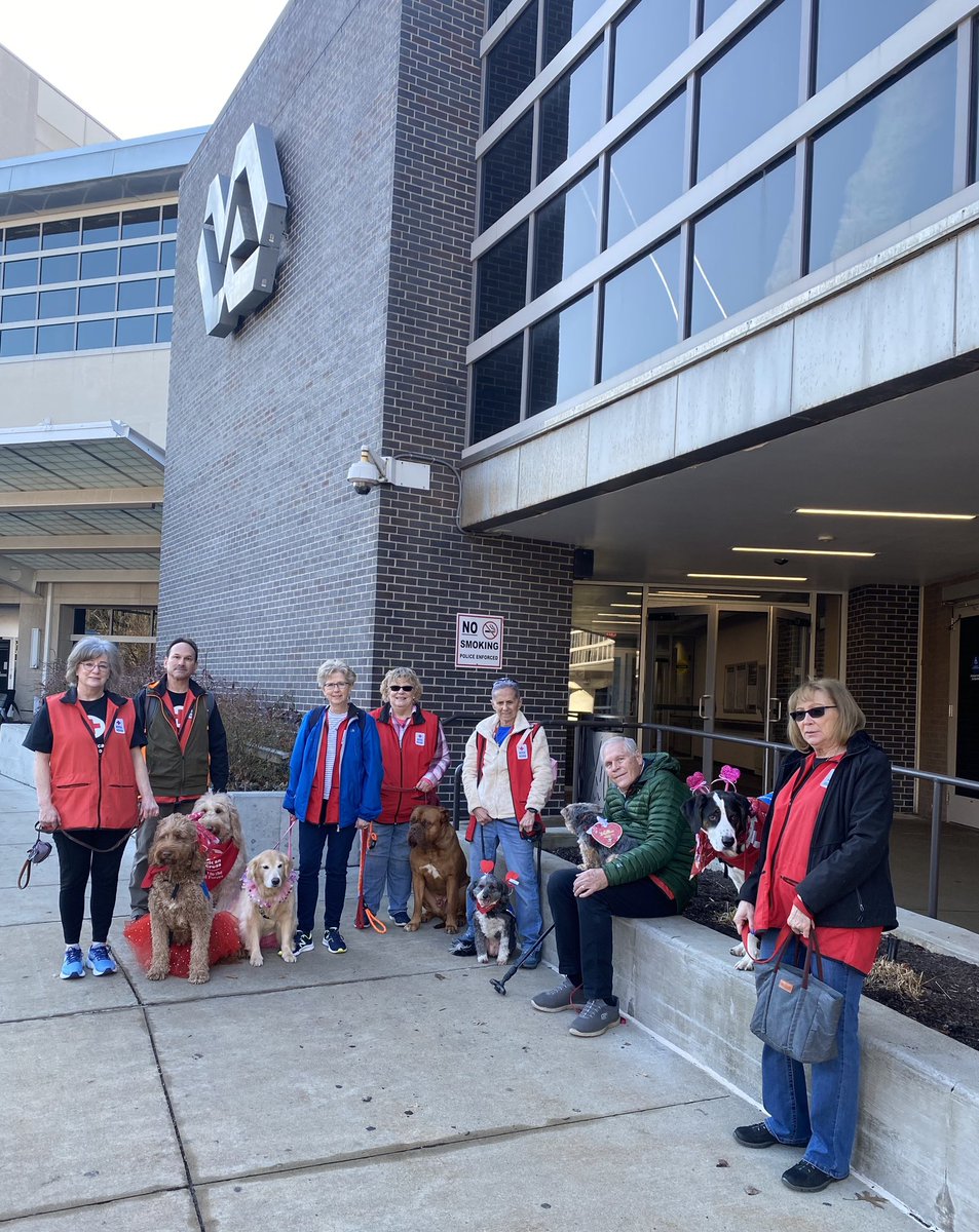 SAFJessica's tweet image. During this National Salute to Veteran Patients Week our amazing Red Cross Volunteer Animal Visitation Team is partnering with @ClevelandVAMC for a “Cupid Puppy Parade” to thank our veterans and staff at the hospital today. Happy Valentine’s Day! ❤️