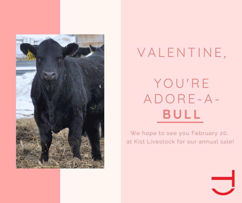 KathyTokach's tweet photo. Happy Valentine's Day! https://t.co/zkgPfxWEeg