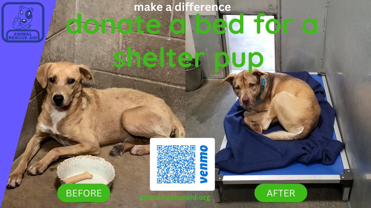 AnimalRescueAid's tweet photo. Make a difference - donate a bed for a shelter pup today!  https://t.co/dmkK06C6NC  #RT #AdoptDontShop https://t.co/v2FtRoxc61