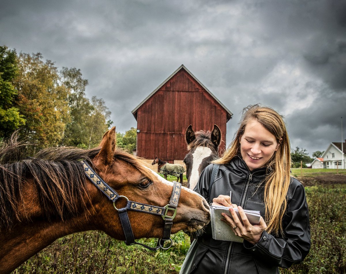 Sveriges längsta sommarvik för journalister? UT kan ha det. Omväxlande reporterjobb från april till september – med stor möjlighet till förlängning året ut. Starttiden går att skjuta lite på för rätt kandidat. Tipsa, dela eller sök! gotamedia.varbi.com/se/what:job/jo…