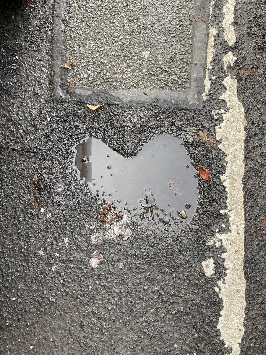 Love is all around us - even when things look grim. 
Love to all this #ValentinesDay