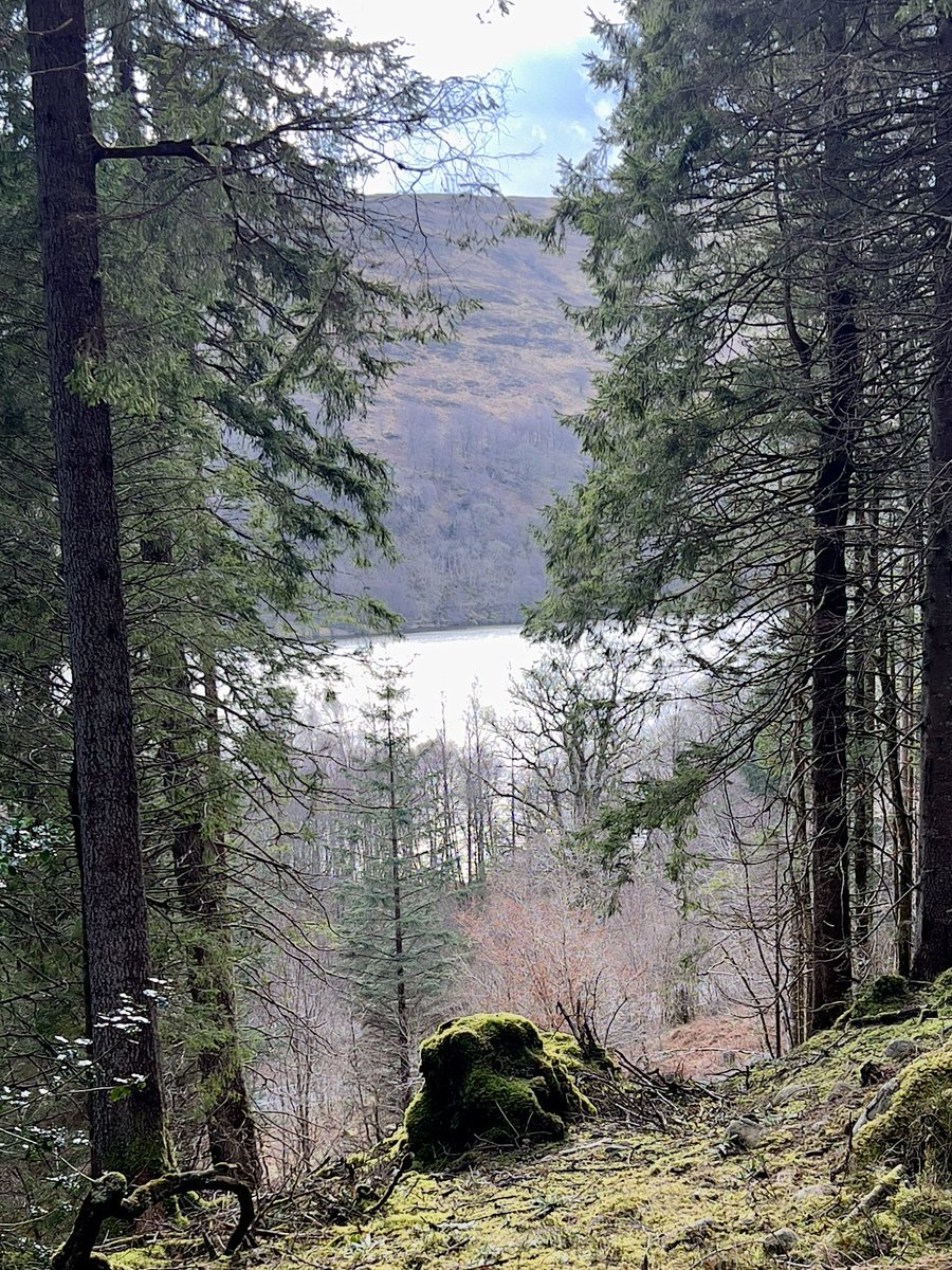 Doesn’t take a genius to understand why they call it bonnie Scotland #SCOTLAND #Highlands #loch