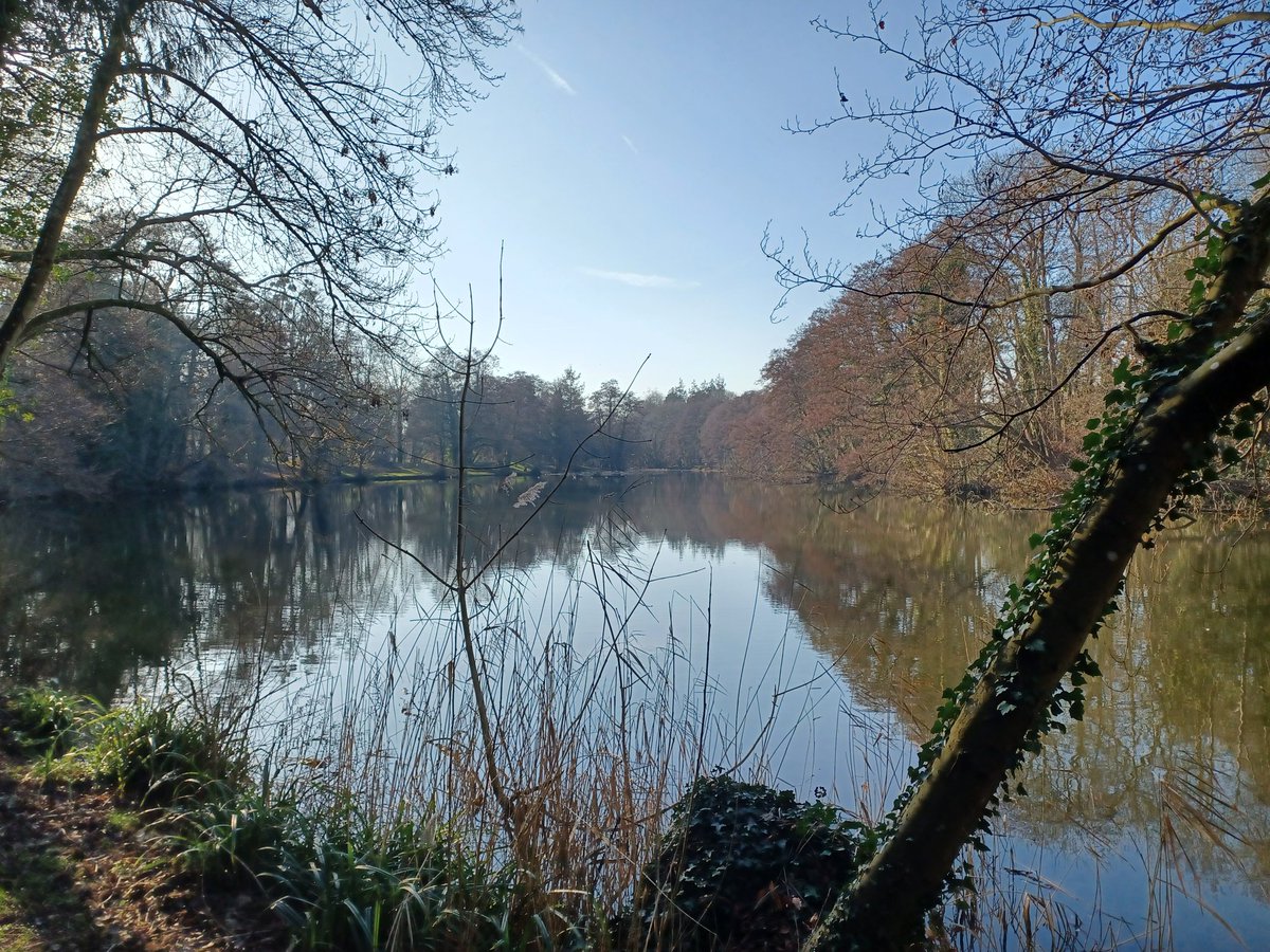 Tranquility at Newent Lake. Spring, do your thing!