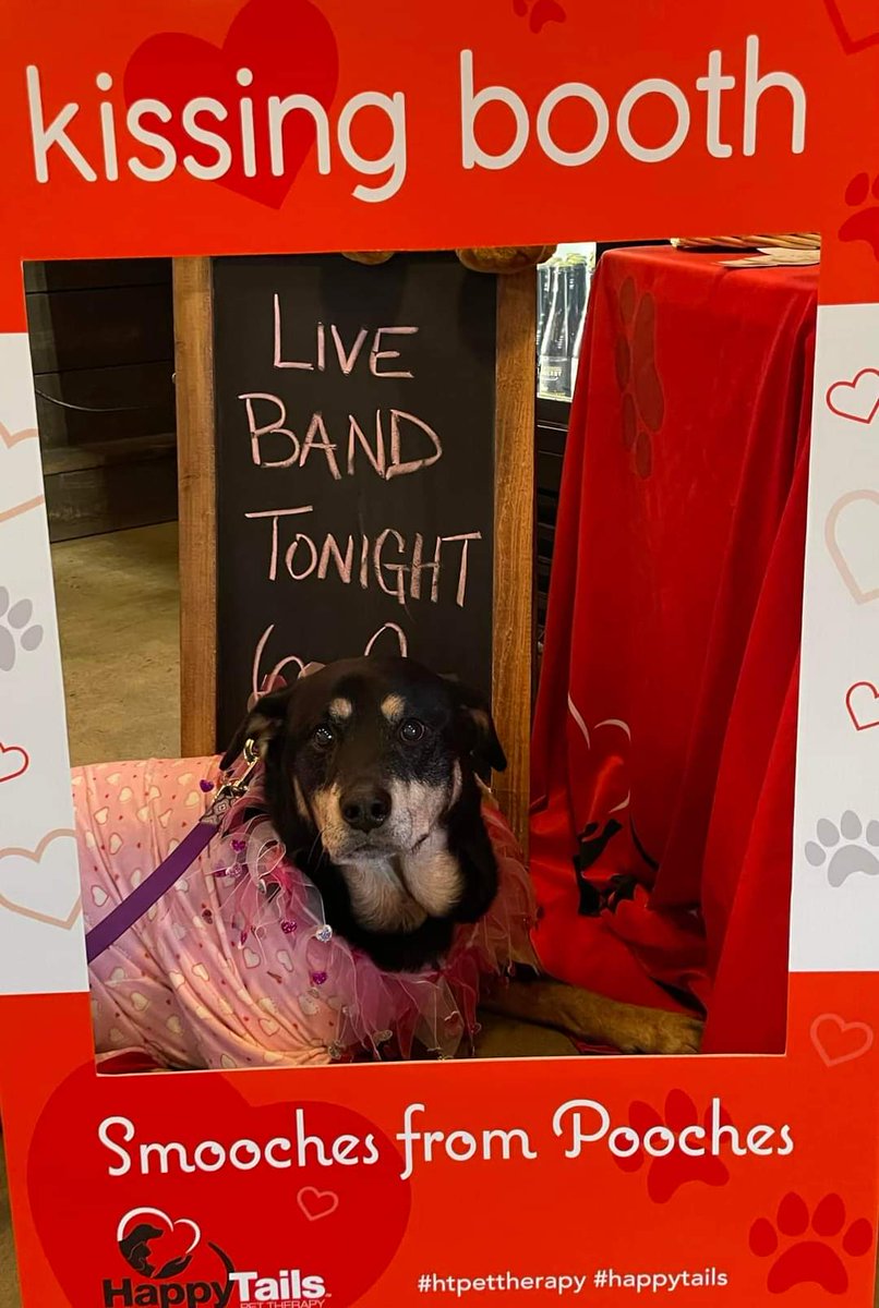 HappyTailsPetTherapy tweet media