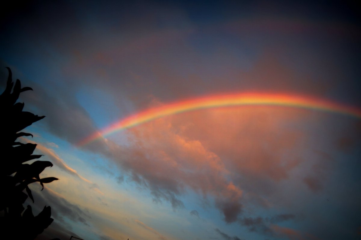 Time of rainbows.

#photo #NatureBeauty #TwitterNatureCommunity #PhotographyIsArt  #TwitterNaturePhotography  #photography #PhotoOfTheD #landscape #rainbow