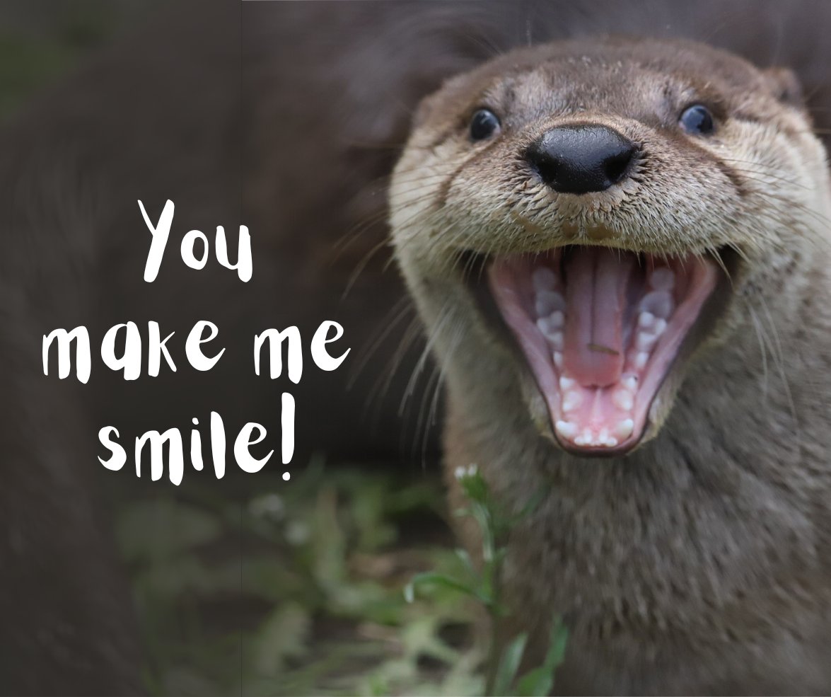 Zoo New England on Twitter: "Happy #ValentinesDay, if that's your thing ...
