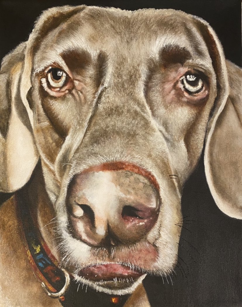 Dog portrait commission. 12x16 acrylic on canvas. #dogportrait #petportrait #portrait #art #homedecor #pet #dog #kylewhary