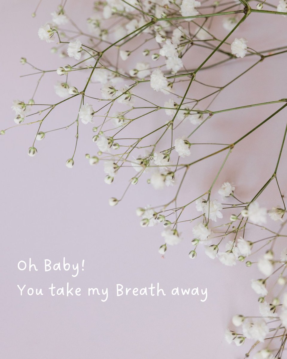 LRinvasives's tweet photo. Hey love bug ❤️
We couldn’t resist contributing a few cheesy Vday puns, with an invasive twist...
Let us know which one was your favourite in the comments!
#InvasivePlants #InvasiveInsects #ValentinesDay #HappyLoveDay #Invasive #BCInvasives #BabysBreath #Flowers #LRISS https://t.co/ViG8cDeKB7