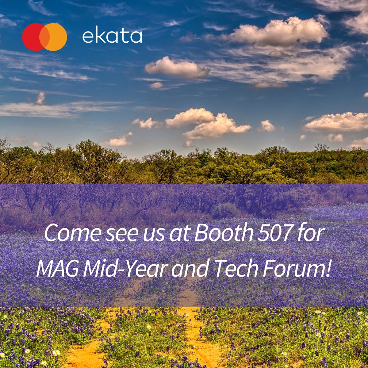 EkataGlobal's tweet photo. Do you know how much friction in your customer’s journey is because of anti-fraud solutions?
Come see our fraud experts at booth #507 today! #MAGMidYear #MAGTechForum https://t.co/km6culknlr