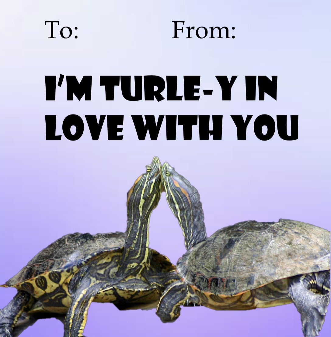 Happy Valentine’s Day! Our team had a lot of fun making these and we hope you enjoy them
