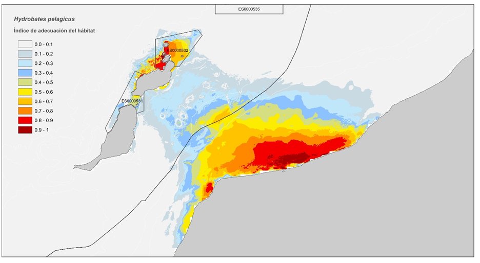 GIC_Mar's tweet photo. Los paíños europeos de Montaña Clara se alimentan en aguas productivas de la plataforma continental africana. Los esfuerzos de conservación de esta especie en el futuro deben centrarse en las colonias de cría. Más información aquí➡️ https://t.co/xCZOGkS8pH #proyectopaiños https://t.co/UpnEDUesXj