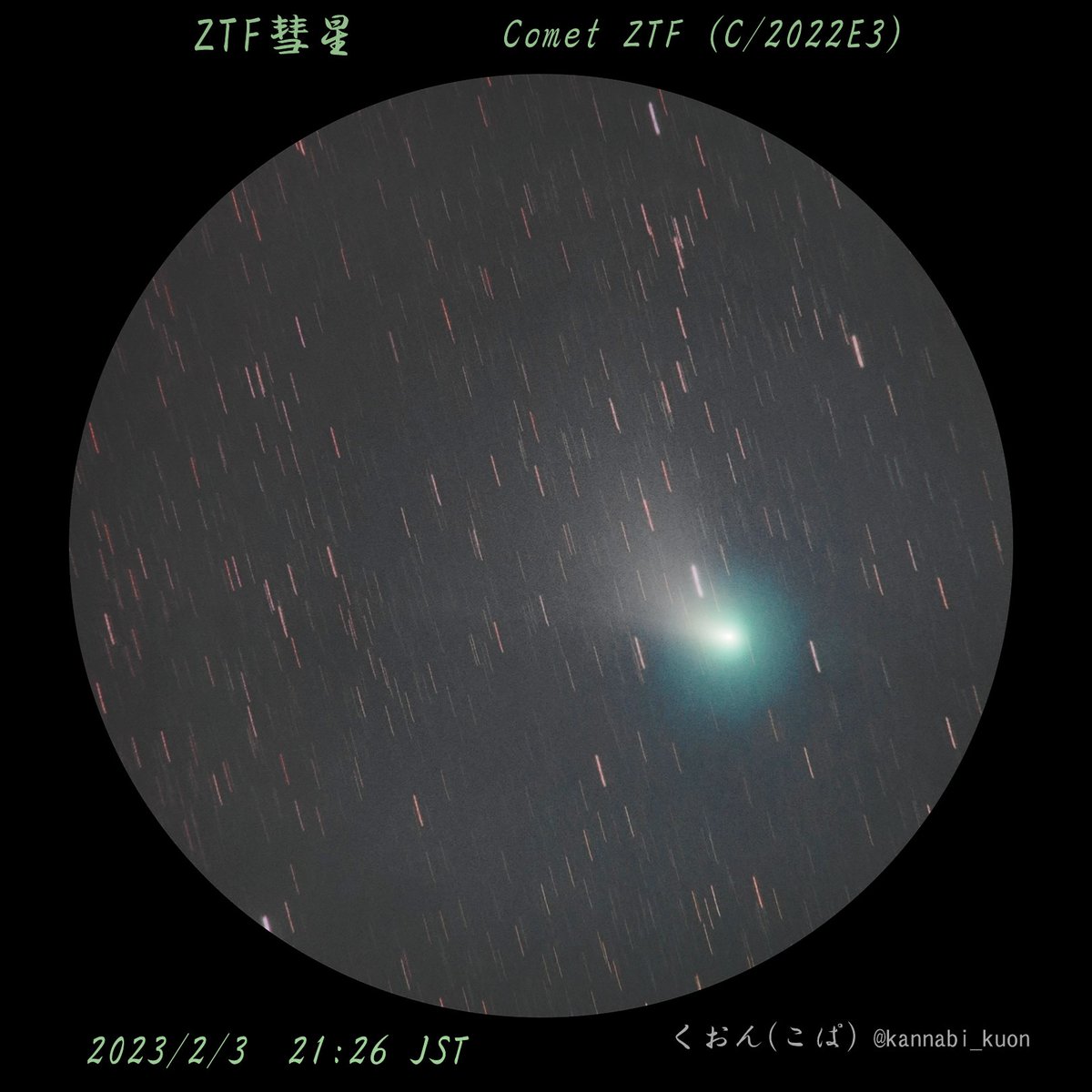 2月9日夜の遠征、最後に天体望遠鏡で撮影したZTF彗星（C/2022 E3）。

もう月が昇ってだいぶ経った後でカブリが強く、ピントも追い込み不足だったので放置していたけど、一応スタックしてみたらイオンテイルが写っているようだったので、せっかくなのでちゃんと仕上げた(^_^;)

#ZTF彗星 #CometZTF
