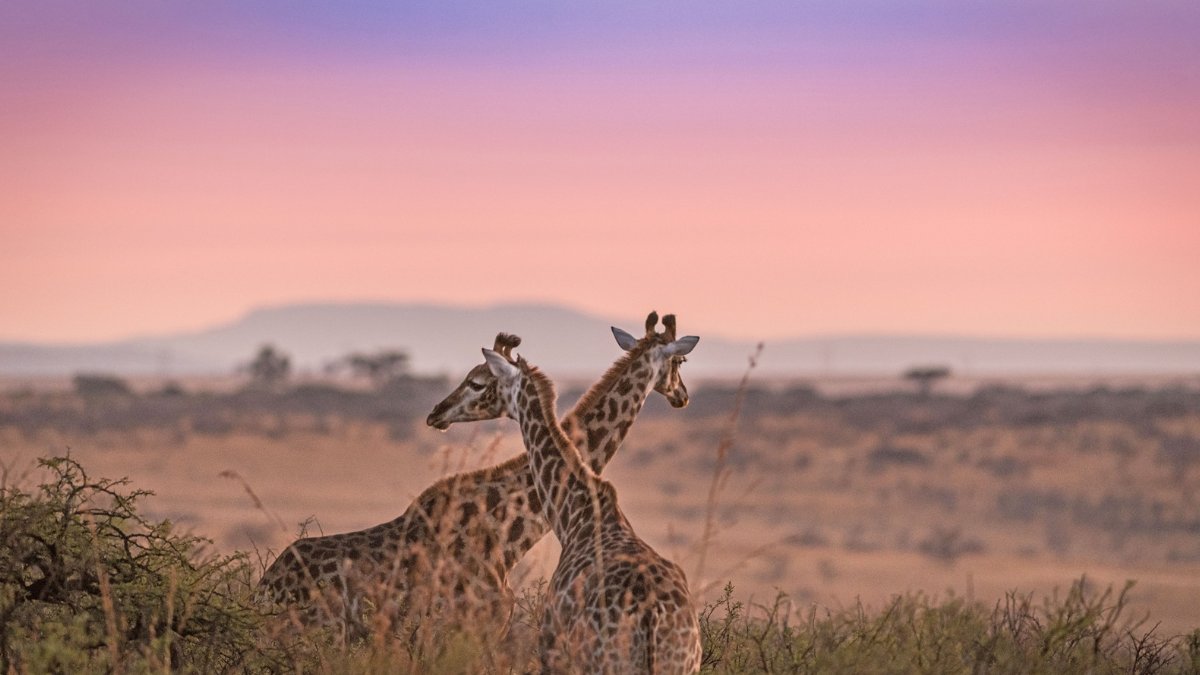 Happy Valentine's Day! 💕

Photography: Emma Gatland