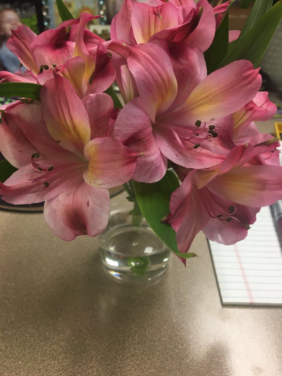 Yeah, but did you get flowers and a Hershey kiss from a Valentine who shouted “Happy Valentine’s Day?” 
#librarylife #childrenslibrarian #storytime
#storytimeisaradicalact