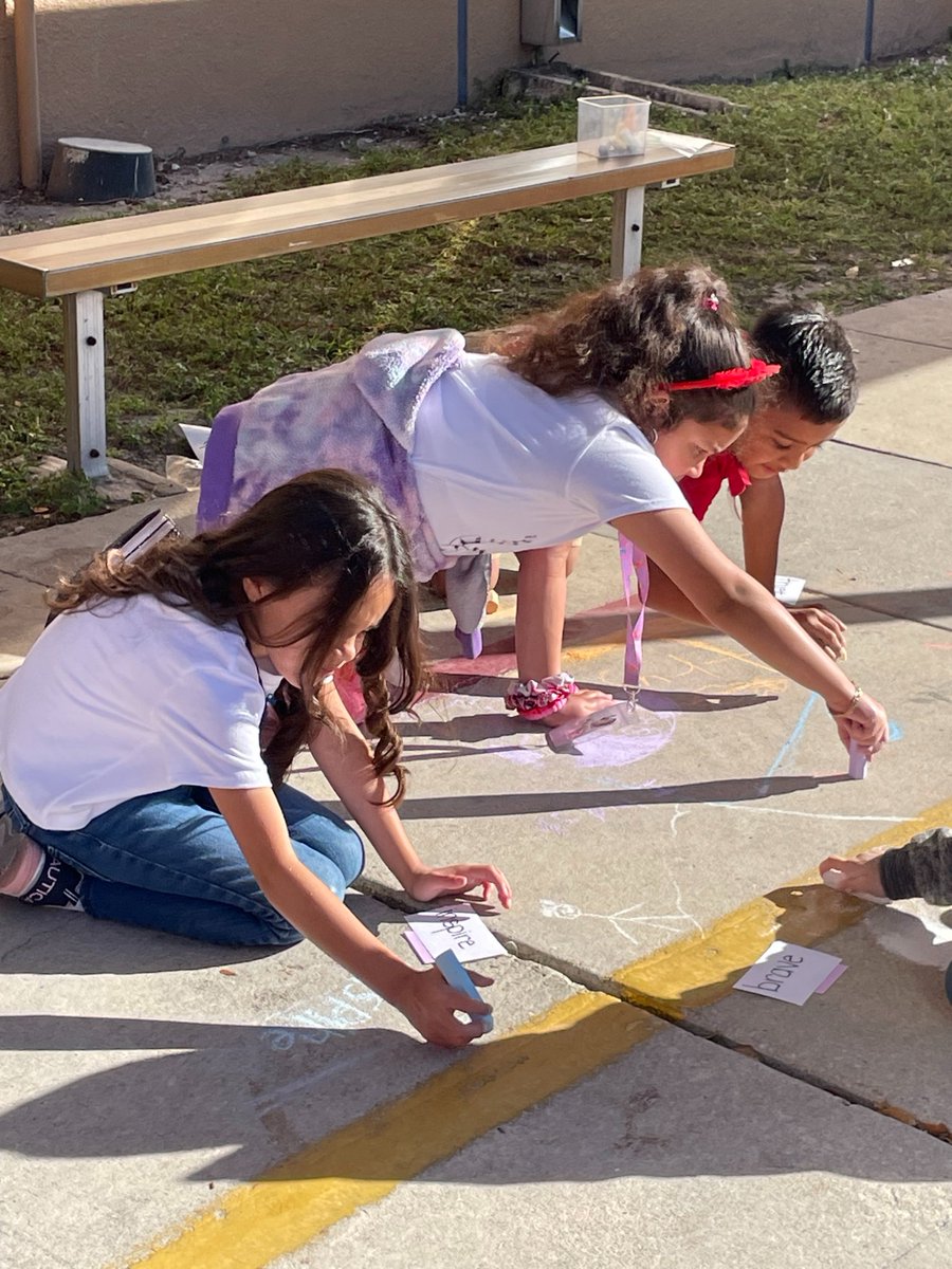 Flamingo Elem tweet media