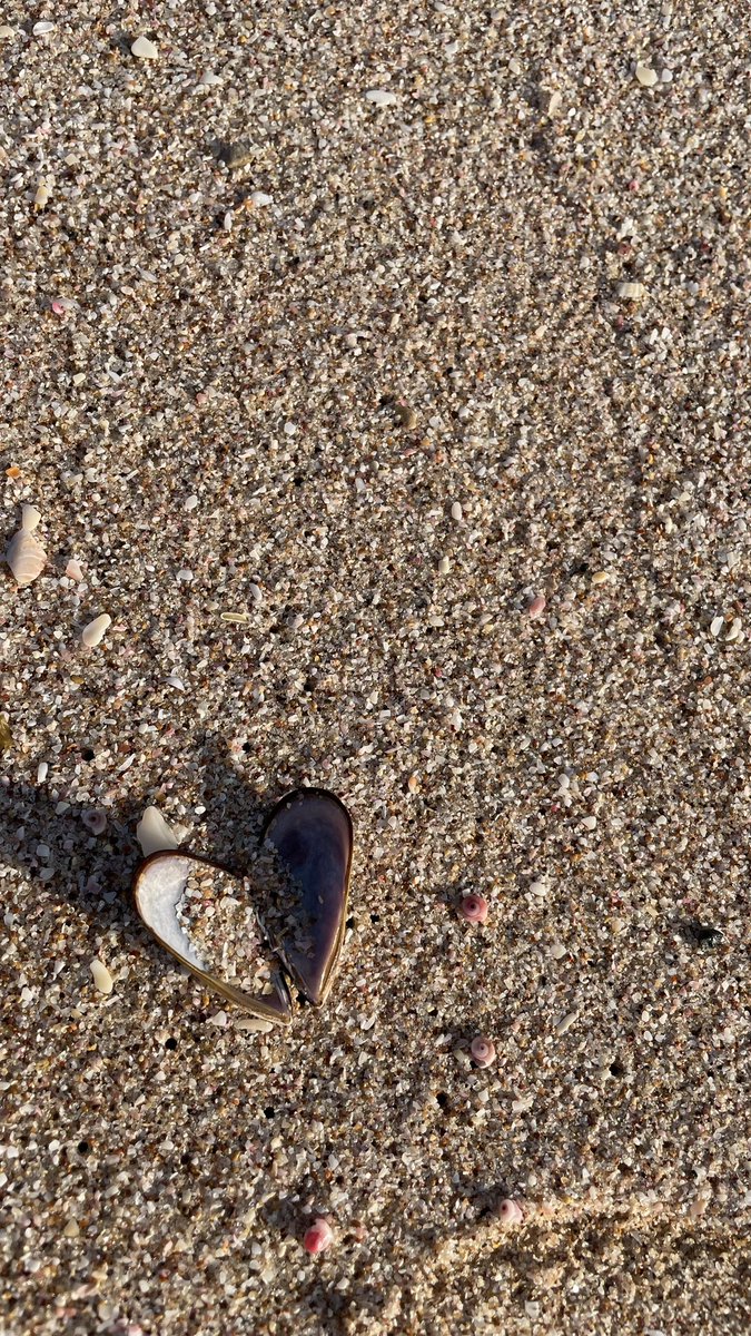 hamdaUSF's tweet image. I only fall for nature ও