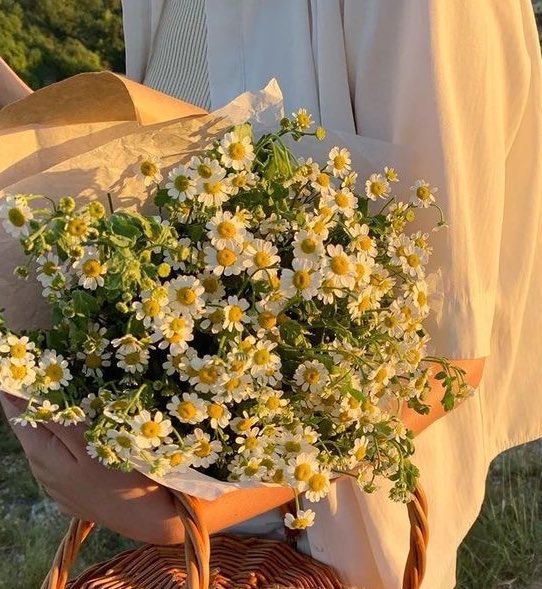 itmydefinition's tweet photo. ถ้ามอบเดซี่ให้ใครคงหมายถึงว่า ขอบคุณที่ทำให้ยิ้ม คอยเป็นพลังบวกและความสดใสให้ในทุกวัน วันที่อะไรๆ ก็แย่ไปหมด เขาเหมือนคนที่เดินมาปลอบ คอยอยู่ข้างๆ ทำให้ยิ้มได้อีกครั้ง you made my day everyday :-) https://t.co/vKrV5Qv9Wf