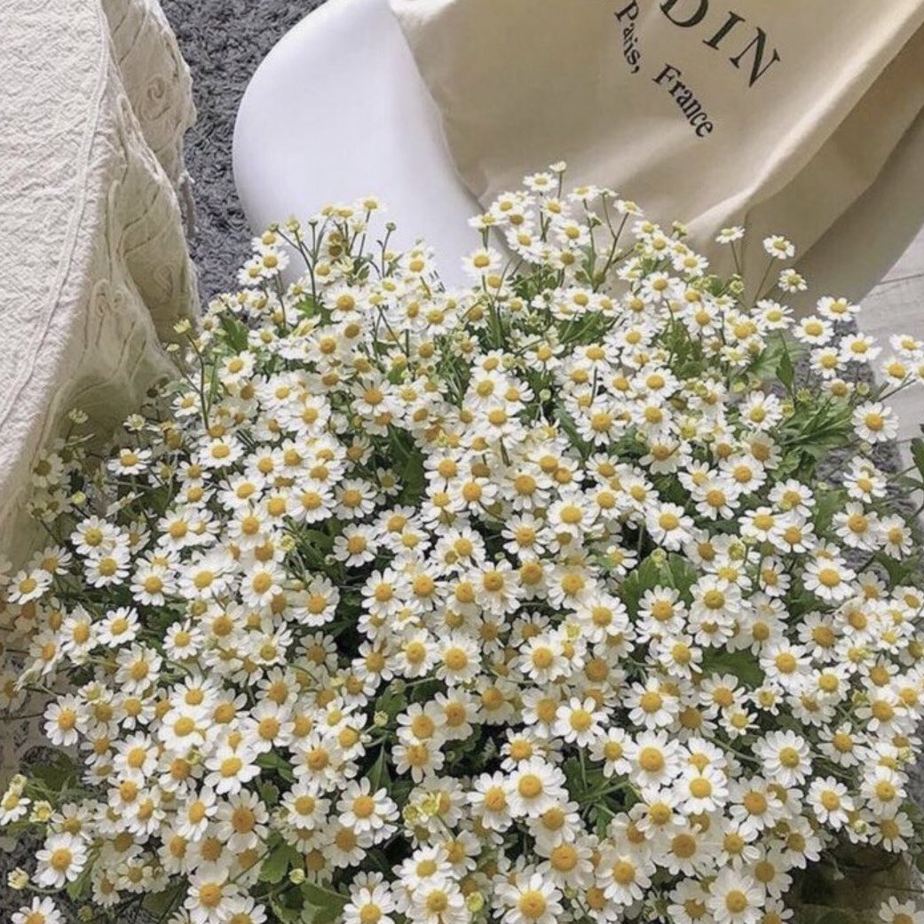 เดซี่ (น.)
ดอกไม้แห่งความสดใส น่ารัก พลังบวกและการปลอบโยน ที่จะคอยอยู่ข้างๆ ทำให้คุณยิ้ม ทำให้โลกกลับมาสดใสอีกครั้ง เหมือนคำกล่าวที่ว่า “เมื่อมีเดซี่อยู่รอบๆ ตัว เธอจะไม่ปล่อยให้คุณรู้สึกแย่หรือเสียใจอยู่คนเดียว” (You can’t be sad when Daisy is around, she won’t let you.)