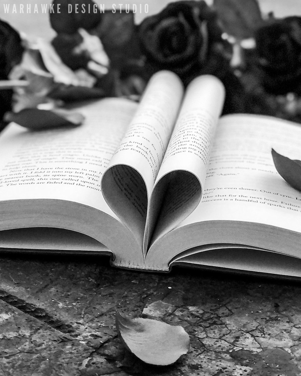 WarhawkeDesigns's tweet image. Happy Valentine’s Day  🥀⁣
⁣
#WarhawkeDesignStudio #Bookstagram #BookServices #AuthorServices⁣