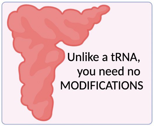 Happy Valentine’s Day!