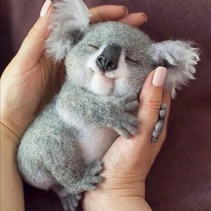 chitral666's tweet photo. The World Beautiful Animals Baby Collection 🥰💕 https://t.co/k9HcrOnx4x