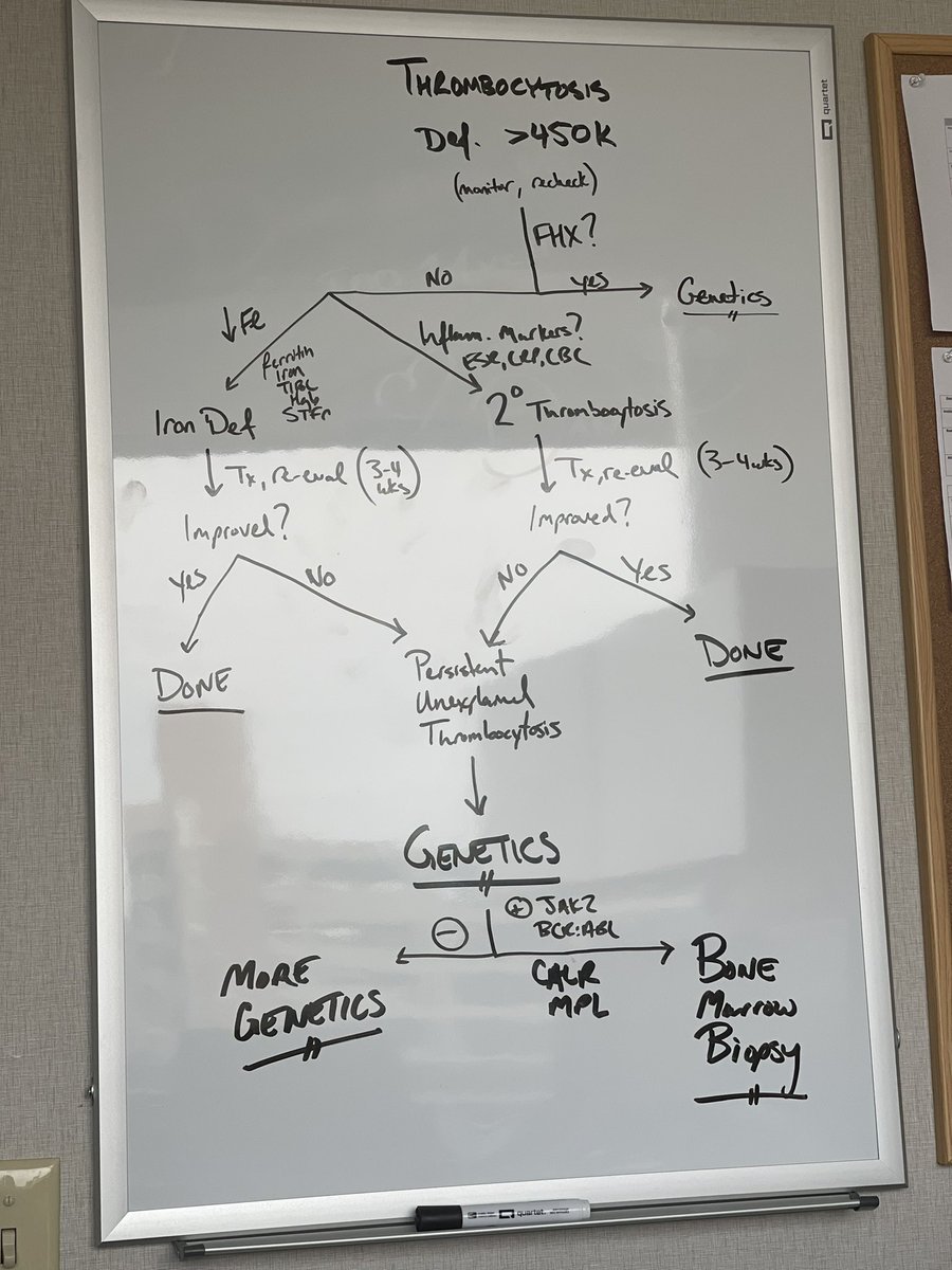 ndnassifmdms's tweet image. This one should stick! #algoritm #acp #im #medicine #hematology #platelets #plts #blood #medicine #mksap #abim #MedTwitter