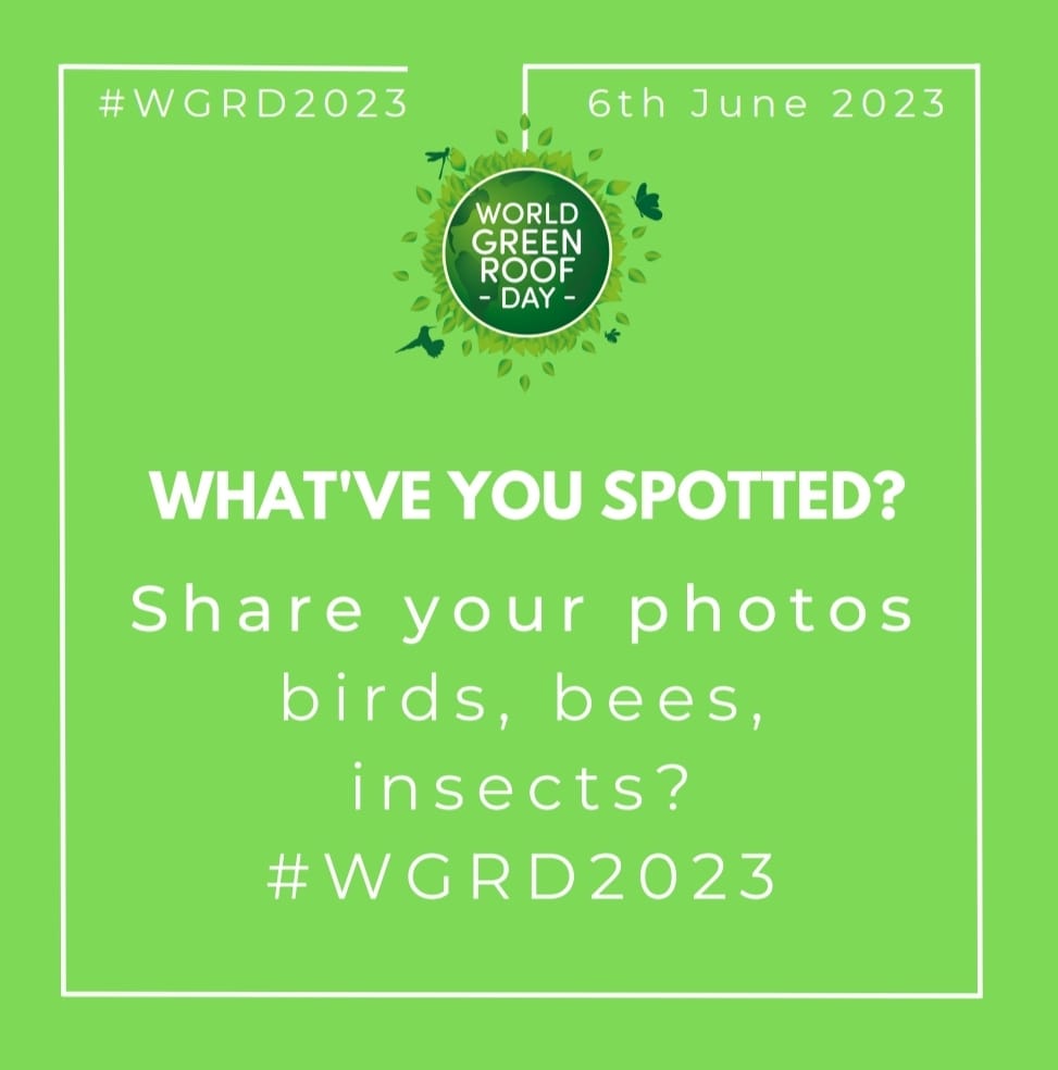 WGRD2024's tweet photo. Share images or stories of the wildlife you have spotted on green roofs #WGRD2023 https://t.co/8x9M8h7YaV