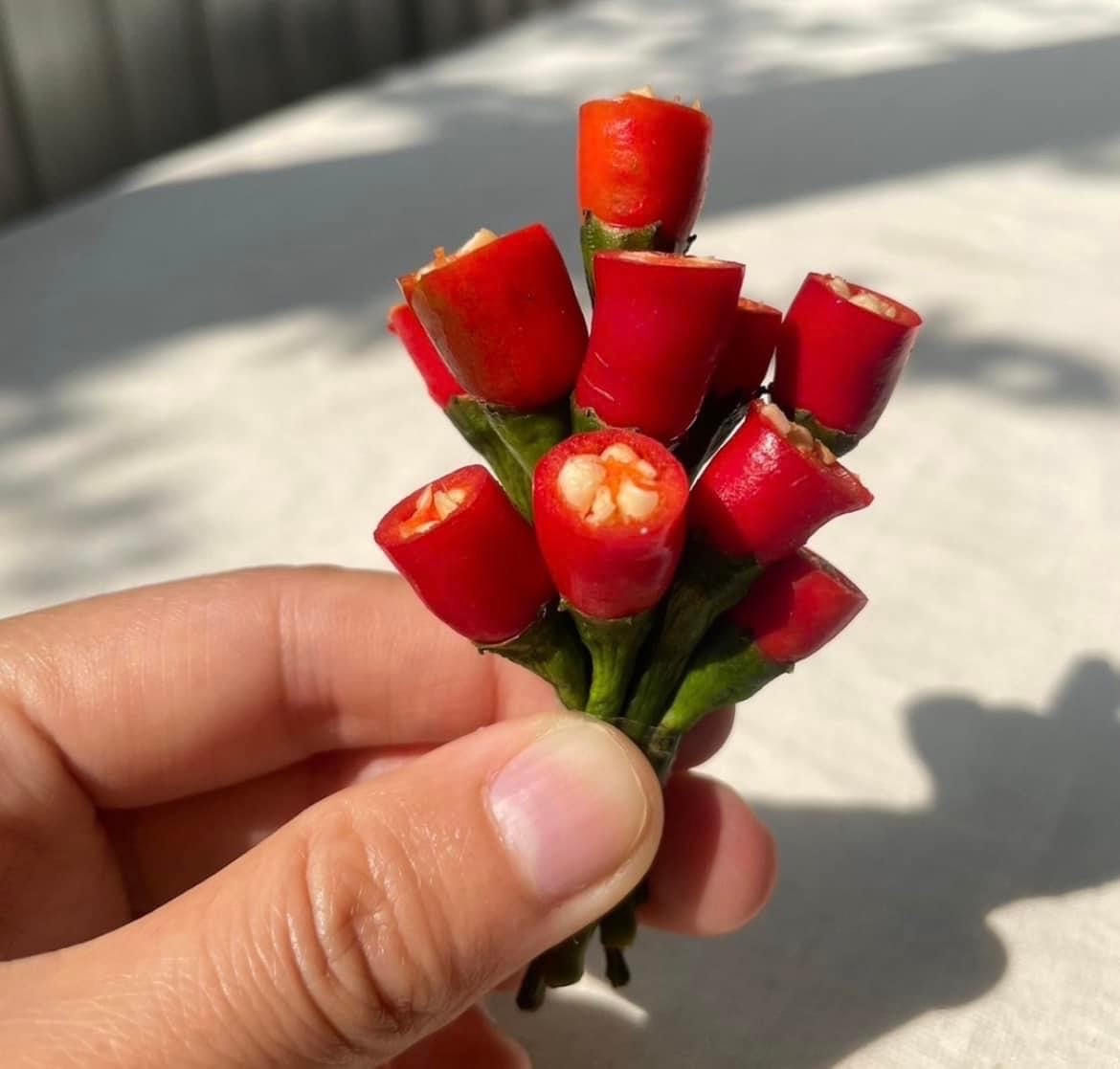 Happy valentines day 💓