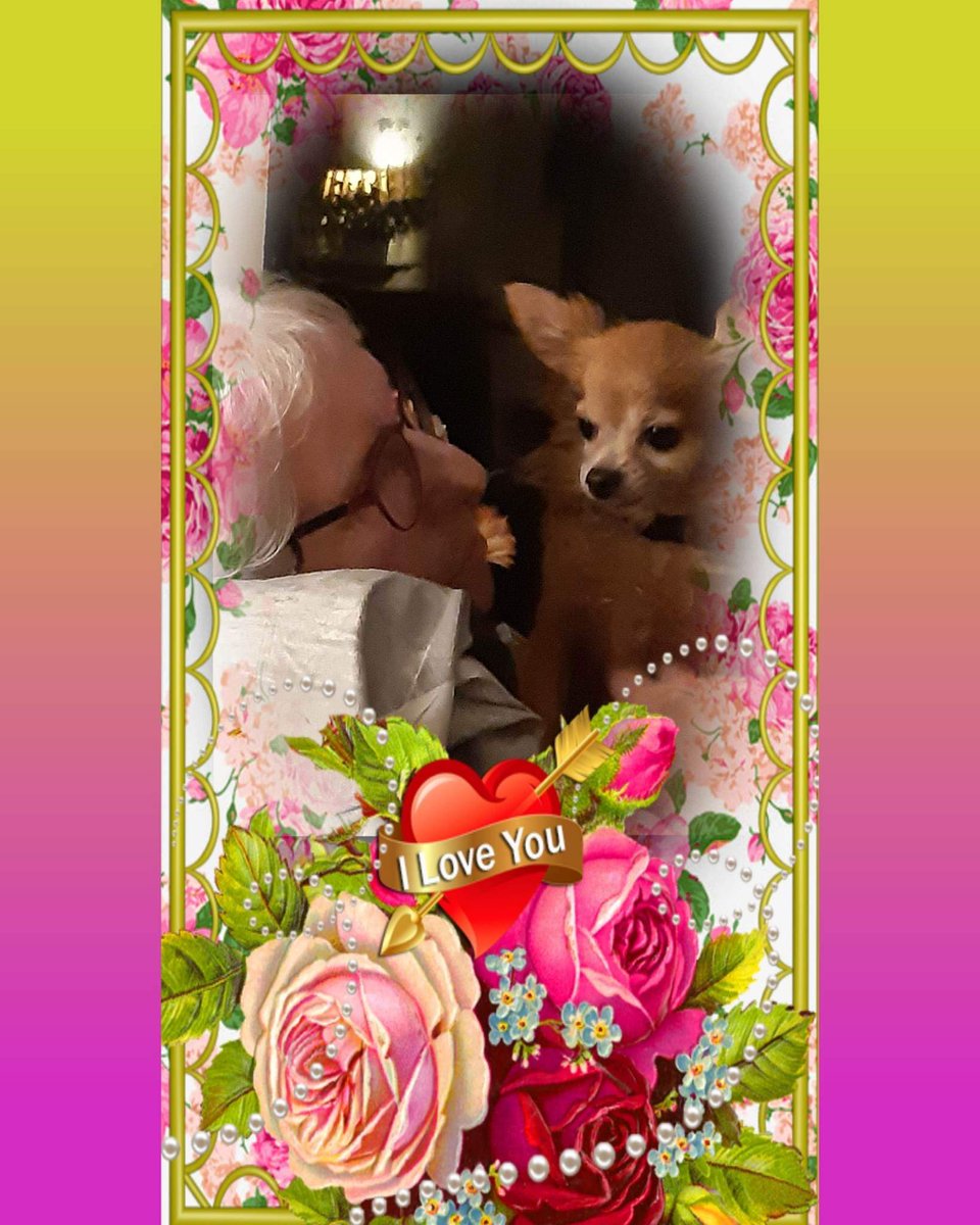 JeannetteZiggy's tweet image. #happyvalentinesday #toall