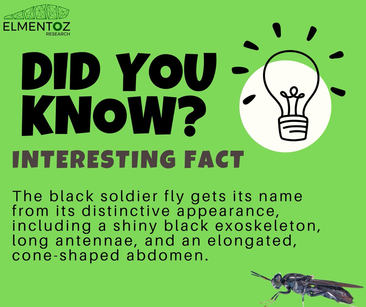 elmentoz's tweet photo. We are industrializing Black Solider Fly farming to obtain high-quality sustainable feed to meet the demand for global feed suppliers. https://t.co/zFMOe4mCCL