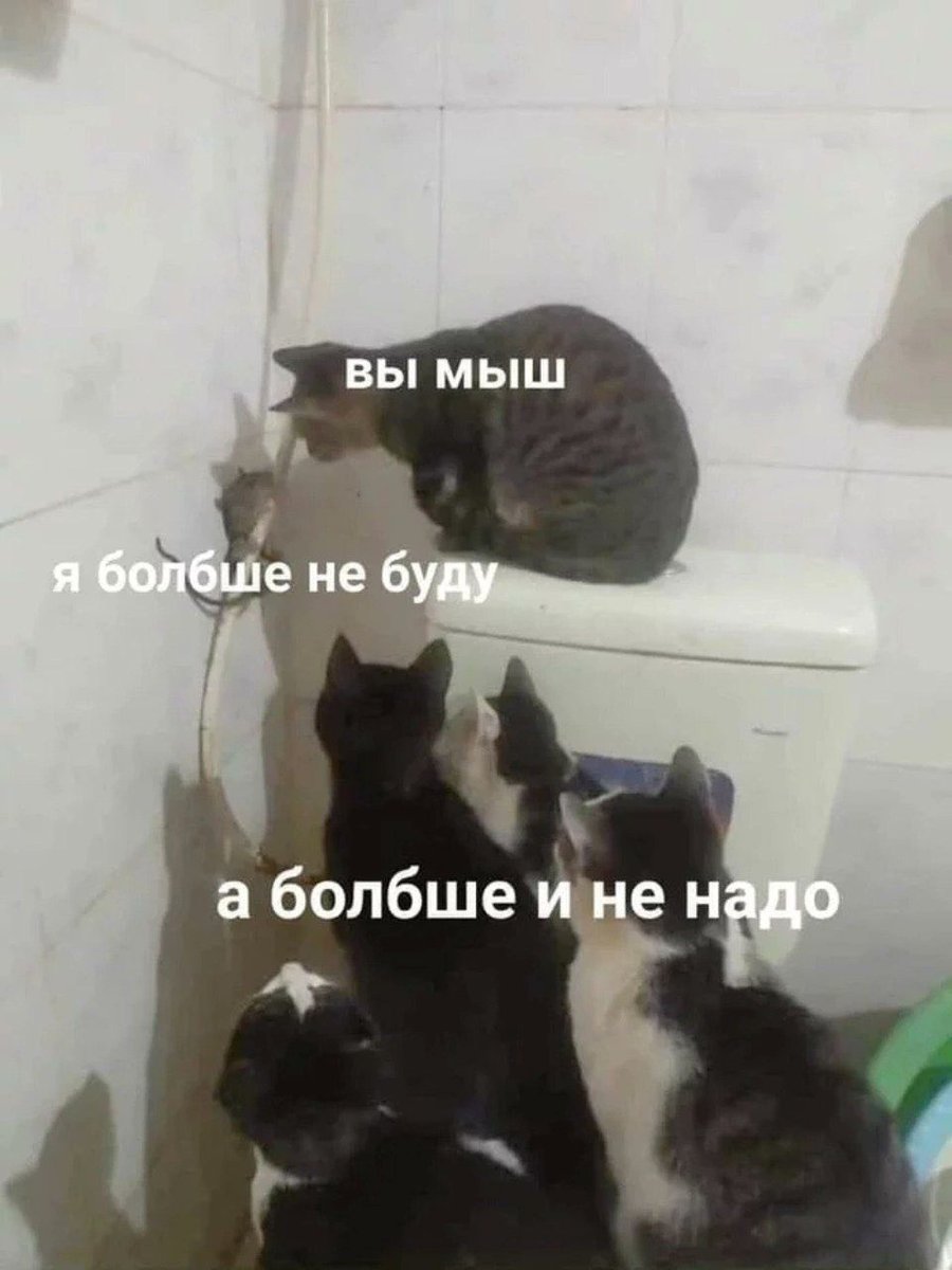стюра поварешка волкова (@lyublydengi) on Twitter photo 