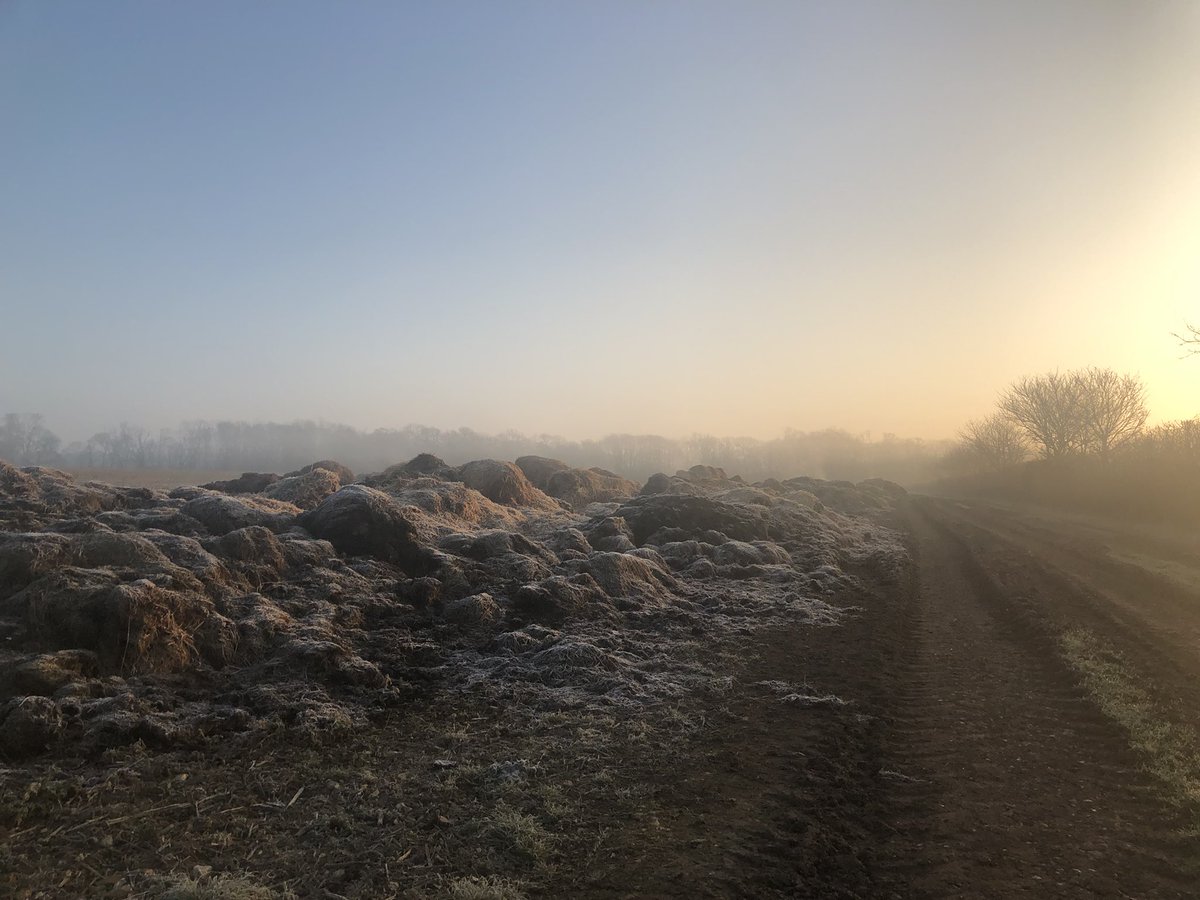 BinstedVillage's tweet photo. Happy Valentine’s Day from Spinningwheel Copse, and this picturesque pile of steaming manure #SaveBinsted #Valentine #Sussex #NoArundelBypass #NoGreyRoute #NoMoreRoads https://t.co/Gf0uYVCxyj