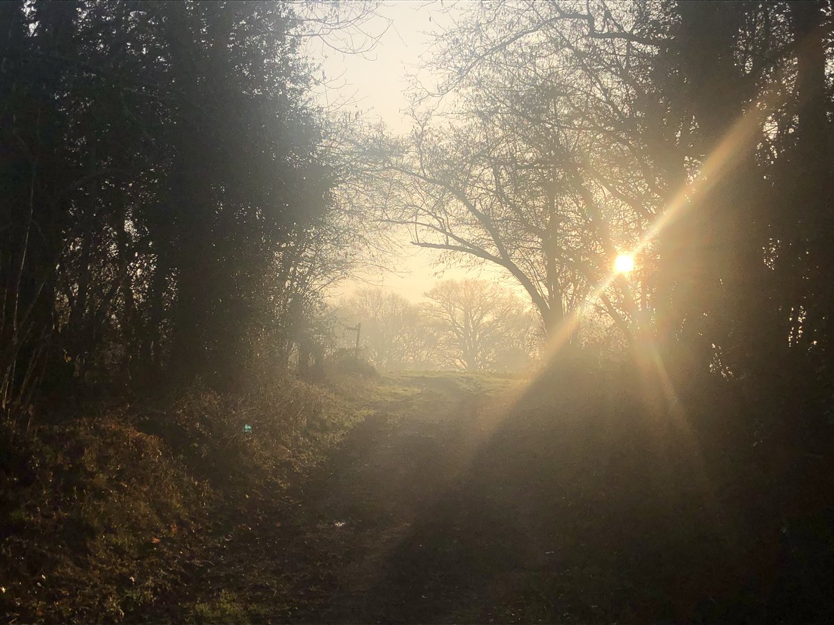 BinstedVillage's tweet photo. Happy Valentine’s Day from Spinningwheel Copse, and this picturesque pile of steaming manure #SaveBinsted #Valentine #Sussex #NoArundelBypass #NoGreyRoute #NoMoreRoads https://t.co/Gf0uYVCxyj