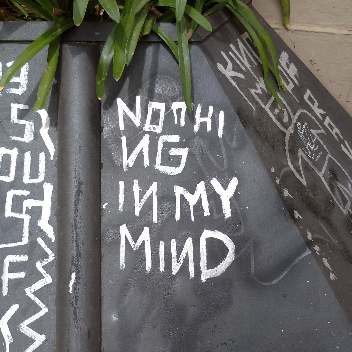 Nemeda TWYD Unlock conversations with your data tweet media