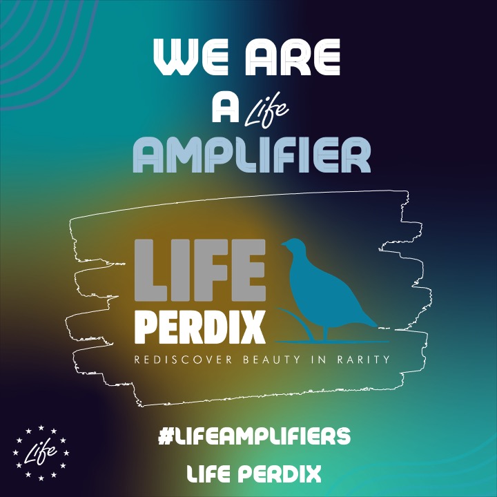 #LIFEproject #Perdix #LIFEprogramme #LIFEAmplifiers