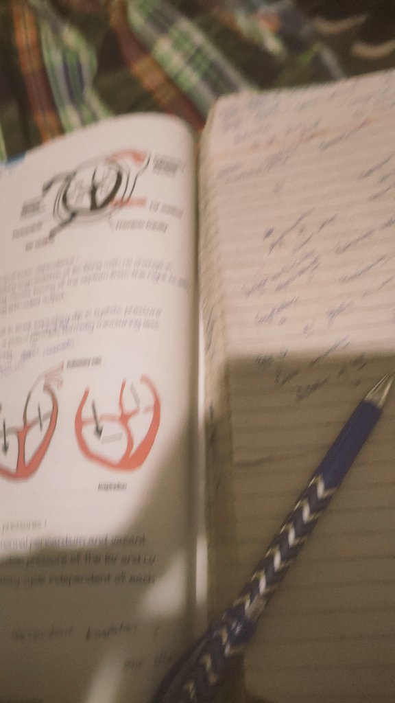 unknownhun69's tweet photo. दिल लगाने की उम्र में दिल की बीमारियां पढ़ रही हूं https://t.co/7G57czLheJ