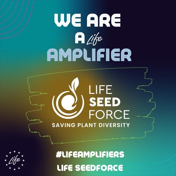 LifeSeedForce's tweet photo. #LIFEproject #SEEDFORCE #LIFEprogramme #LIFEAmplifiers https://t.co/tZWoGAQ7zr