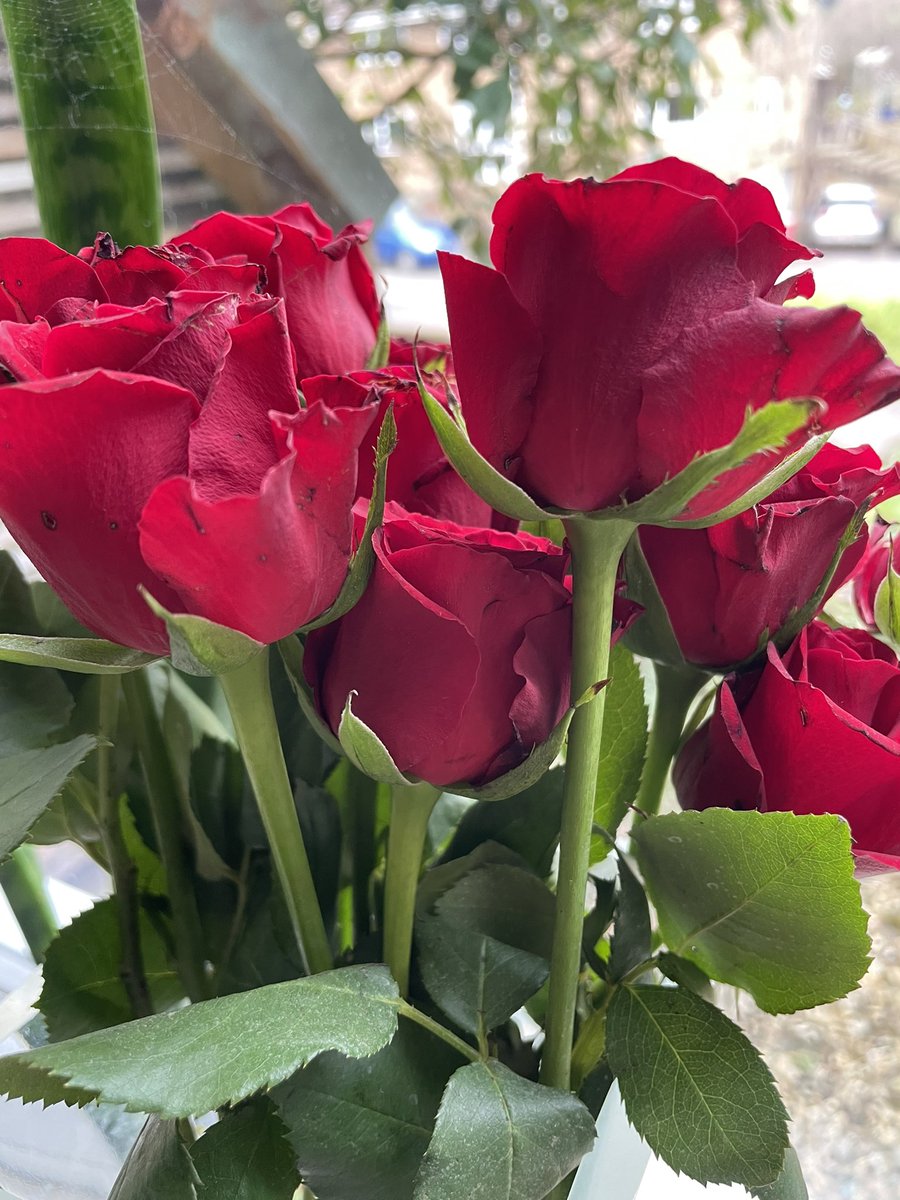 H ave a break
A lways listen
P ositive thinking
P ause to breath
Y ou count

V alue others
A nger release
L ove yourself
E njoy nature
N o is ok to say  
T ime to BE
I nspire your mind
N egativity let go
E xercise your body
S mile at a stranger 

#ValentinesDay ❤️ I love you ❤️🐝