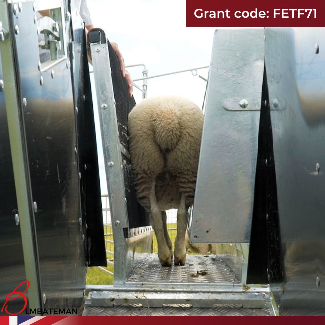 LMBateman79's tweet photo. The LM Bateman Sheep Grip is eligible under the Farming Equipment &amp; Technology Fund (Grant code: FEFT71). 

Contact us at Head Office or your Area Sales Manager for more information.

sales@lmbateman.co.uk or call us on 01538 361326

#farming #farminggrant  #fetf #defra https://t.co/Q7boyzVkfJ