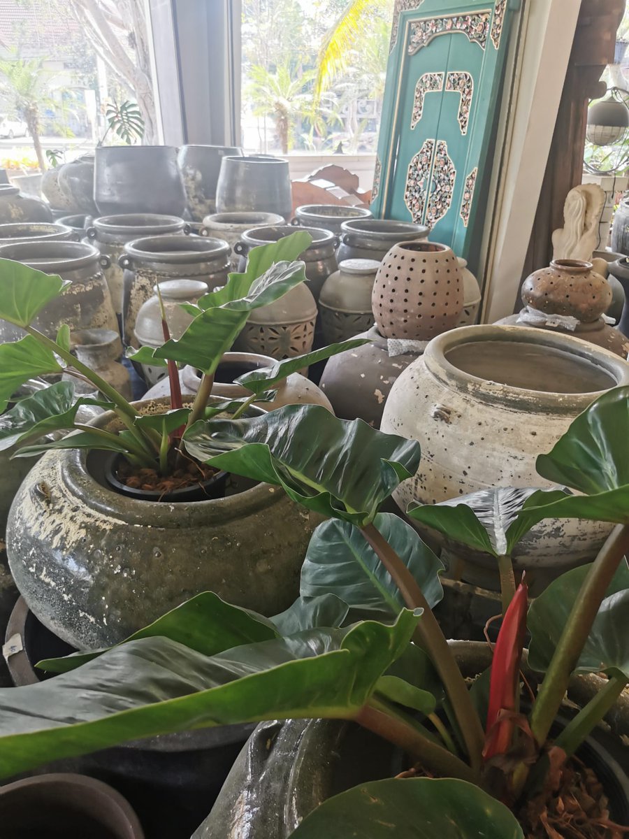 the_fair_earth's tweet photo. Here are some more sneak peeks at products we were looking at in Asia π
We love finding new products to bring over and give the potters a broader customer base, as it helps them earn a fair wage!
#potsofstyle #statementpots #asia #pottery #fairtrade #truefairtrading https://t.co/jveo6H2vM5
