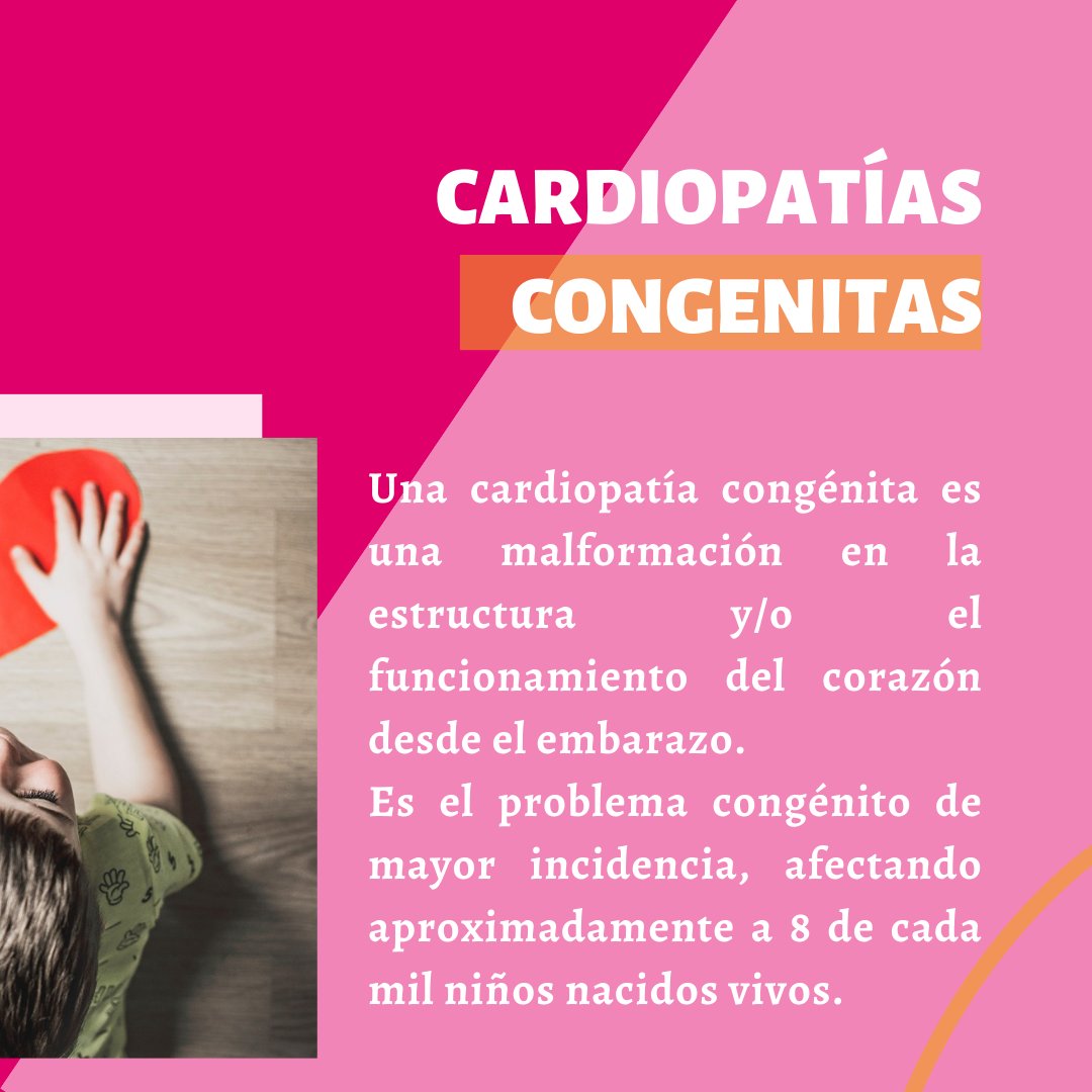 fqeuskadi's tweet photo. BIHOTZEZ ELKARTEA
🌹 Ikustezina dena, ikusgai egiten.
🌹 Haciendo visible lo invisible.
.
.
.
#EnfermedadesRaras #28febrero #IkustezinaIkusgai #VisibleLoInvisible #CardiopatiasCongenitas https://t.co/ntHrh0Te12
